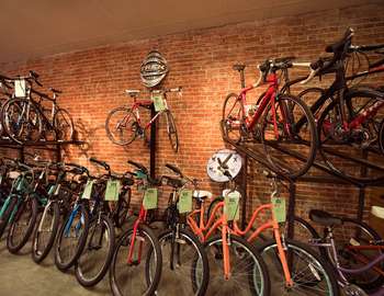 Campus Bicycles Interior