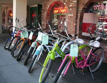Campus Bikes Display