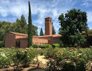 Chico State Rose Garden