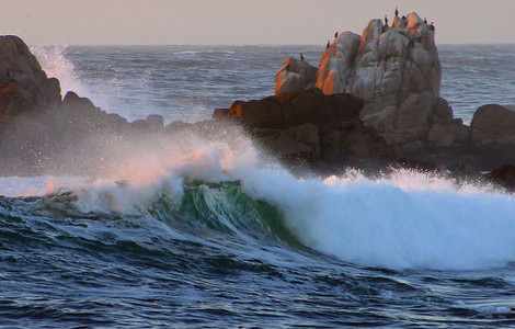 Image #2 about Asilomar State Beach