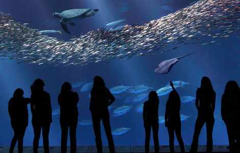 Image #2 about Monterey Bay Aquarium
