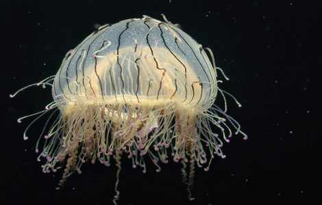 Image #3 about Monterey Bay Aquarium