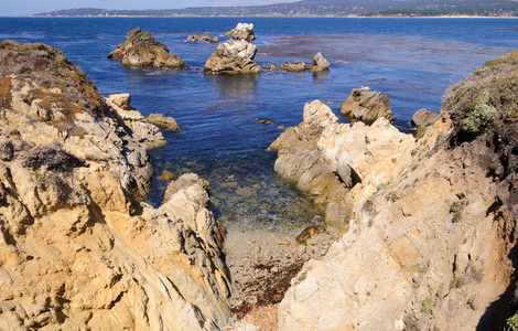Image #2 about Point Lobos State Reserve