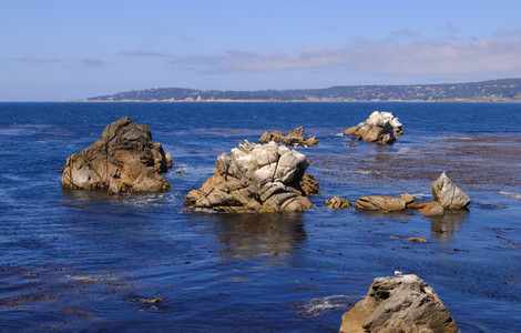 Image #3 about Point Lobos State Reserve