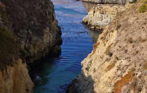 Image #5 about Point Lobos State Reserve