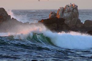Image about Asilomar Beach in Pacific Grove