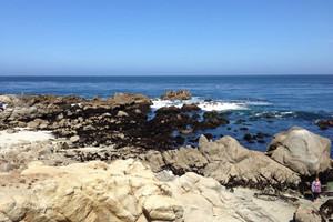 Image about Point Pinos Beaches