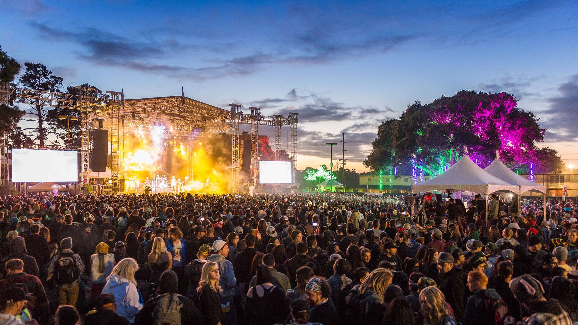 Image about California Roots Festival