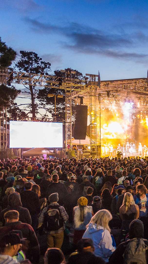 Video Image about California Roots Festival (mobile)