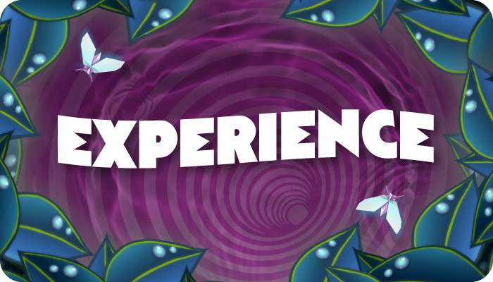 Experience
