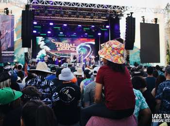 Tribal Seeds (Photo by @eyesofjem)