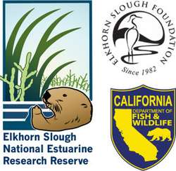 Image of Elkhorn Slough National Estuarine Research Reserve