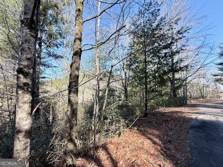 Real Estate Listing Photo - Rabun Bluffs DR