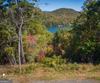 Ivy Ridge Way, Clarkesville, GA - Thumbnail Image #2