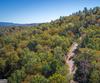Ivy Ridge Way, Clarkesville, GA - Thumbnail Image #7