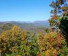 A19 Winterberry DR, Clayton, GA - Thumbnail Image #5
