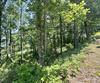 J35 Bent Grass, Clayton, GA - Thumbnail Image #9