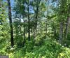 J35 Bent Grass, Clayton, GA - Thumbnail Image #10
