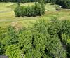 J35 Bent Grass, Clayton, GA - Thumbnail Image #13