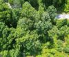 J35 Bent Grass, Clayton, GA - Thumbnail Image #15