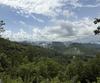 608 Winterberry DR, Clayton, GA - Thumbnail Image #76