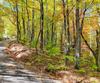 Charmont DR, Tiger, GA - Thumbnail Image #3