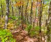 Charmont DR, Tiger, GA - Thumbnail Image #4