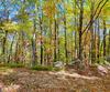 Charmont DR, Tiger, GA - Thumbnail Image #5