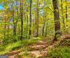 Charmont DR, Tiger, GA - Thumbnail Image #7