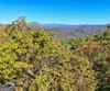 Charmont DR, Tiger, GA - Thumbnail Image #11