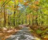 Charmont DR, Tiger, GA - Thumbnail Image #16