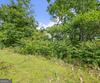 Lot 12a Winterberry Trl, Clayton, GA - Thumbnail Image #6