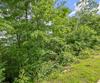 Lot 12a Winterberry Trl, Clayton, GA - Thumbnail Image #7
