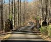 Forest Canopy Way, Clayton, GA - Thumbnail Image #10
