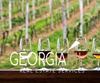 Forest Canopy Way, Clayton, GA - Thumbnail Image #11