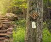 Forest Canopy Way, Clayton, GA - Thumbnail Image #13