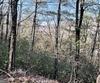 Rabun Bluffs DR, Lakemont, GA - Thumbnail Image #3