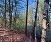 Rabun Bluffs DR, Lakemont, GA - Thumbnail Image #5