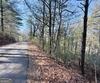 Rabun Bluffs DR, Lakemont, GA - Thumbnail Image #6
