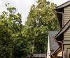 814 Summit Rdg, Clarkesville, GA - Thumbnail Image #6