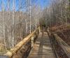 1242 Moccasin Creek RD, Clarkesville, GA - Thumbnail Image #10