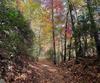 130 Cove View LN, Clarkesville, GA - Thumbnail Image #24