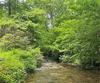 130 Cove View LN, Clarkesville, GA - Thumbnail Image #30
