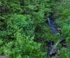 130 Cove View LN, Clarkesville, GA - Thumbnail Image #31