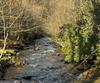 90 Cove View LN, Clarkesville, GA - Thumbnail Image #19