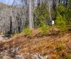 Ivy Ridge Way, Clarkesville, GA - Thumbnail Image #2