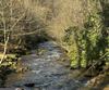 175 Waters Edge LN, Clarkesville, GA - Thumbnail Image #8