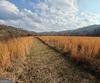 155 Waters Edge LN, Clarkesville, GA - Thumbnail Image #6
