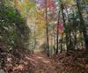 155 Waters Edge LN, Clarkesville, GA - Thumbnail Image #7