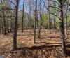 Lot 27 Lake Rabun Bluffs, Lakemont, GA - Thumbnail Image #4